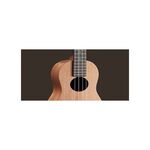 instrument, , large
