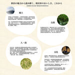 樂米穀場-日本秋田縣產榮光綻放1KG, , large