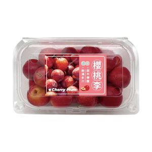進口盒裝櫻桃李 550g