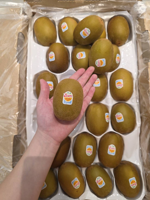 [芯鮮果]Zespri陽光-黃金奇異果