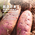 栗子地瓜, , large