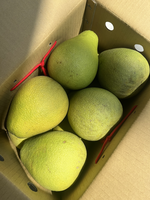 Taiwan Wendan Pomelo, , large