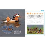 How Animals Live-Birthing, , large