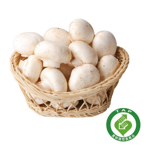 CFPLB  White mushroom 
