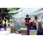 [皇廷] Competition level longan honey 700g, , large
