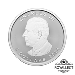[皇家典藏] Canadian Mint 2024加拿大-楓葉-龍標記版-1盎司銀幣(普鑄)(卡裝)(首發版), , large