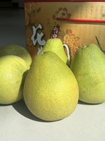 Taiwan Wendan Pomelo, , large