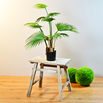 【YU Living】人造棕梠樹盆栽-79CM, , large