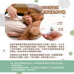 【GREENON】二合一寵物針梳磨甲器 不鏽鋼按摩梳 廢毛梳 USB電動磨甲機 寵物美容, , large