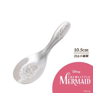 STAINLESS STEEL SPOON-SMALL