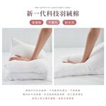 【DUYAN 竹漾】可水洗好夢QQ枕 台灣製 1入, , large