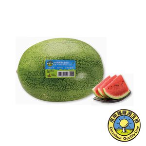 CQL Hualian Big Watermelon