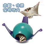 GS MALL 比利時製造 寵物用品遊戲吊床 寵物床 寵物用品 遊戲吊床 吊床 寵物遊戲床 LIXIT 寵物睡床, , large