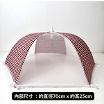 CHEN SHIANG, , large