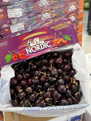 Polar Bear Black Cherry