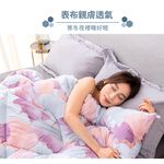 【日本旭川】超奈米石墨烯醫護級能量被(贈石墨烯床包組) 真心推薦  3KG棉被 石墨烯被 冬被 生命磁, , large