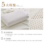 DUYAN竹漾 蜂巢型人體工學乳膠枕, , large