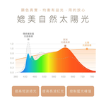 [波克臻選] 全光譜化妝鏡-酒紅金, , large
