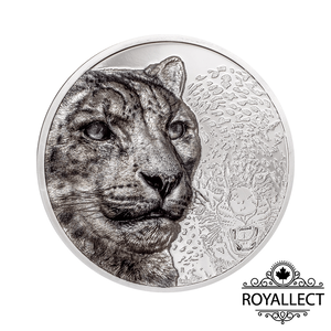 SNOW LEOPARD Wild Mongolia 3 Oz Silver Coin 2000 Togrog Mongolia 2024