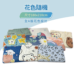 清涼冰紗雙人涼夏被, , large