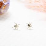 【Angel & Me】希望之星 星星 Star 一對 s925 純銀 耳環 耳夾, , large