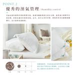 DUYAN竹漾 奧地利舒眠天絲枕 台灣製, , large