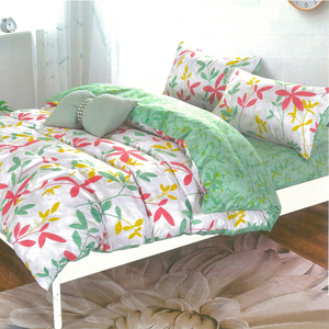 柔絲絨雙人四件式印花兩用被床包組