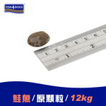 【倆寶貝精品館】海洋之星FISH4DOGS 無穀低敏挪威鮭魚(成犬 原顆粒-12kg), , large