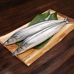 Saury, , large