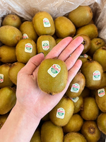 New Zealand Green Kiwifruit, , large