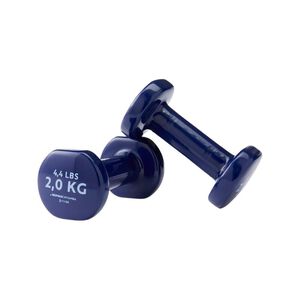 PVCDUMBBELLS2*2Kgs2*2KG