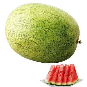 Big Water Melon