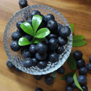 Organic blueberry 170g*12    