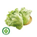 履歷長年芥菜700g, , large