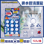 Kobayashi Pipe Detergent 12tablet Blue, , large