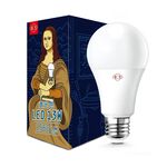 LED 13W  light bulb, 晝光色, large