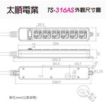 Tyson太順電業 台灣製 1切6座 3孔延長線 【現貨】多尺寸 316AS 延長線 安全防火 拉環扁插 耐用 耐摔, , large