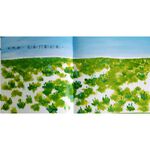 《南門書局》0~3歲~親子幼兒圖畫書 25冊~友情、親情、顏色、對比、植物的旅行、探索, , large