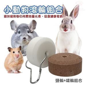 金德恩 GS MALL 美國製造 礦輪鹽輪啃咬石 LIXIT 寵物啃咬石 寵物啃咬 礦輪啃咬石 鹽輪 啃咬石 寵物 寵物用品