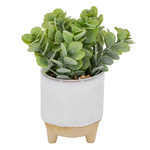 【YU Living】仿真綠色植物陶瓷盆栽 人造陶瓷盆栽, , large