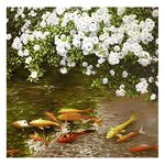 【御畫房】富貴有魚 國家一級畫師手繪油畫80×80cm(VF-170), , large