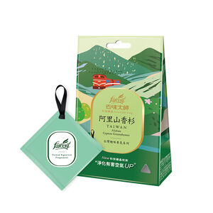 去味大師科技礦晶香包-阿里山香杉
