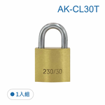 Lock, , large