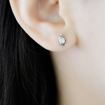 Polar Star Sterling Silver Earrings, , large