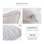 DUYAN竹漾 5D科技賴床枕 台灣製, , large