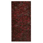 Dark chocolate with raspberry pieces and cranberry seeds, , large