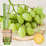 [馥果FruitGo]秘魯 頂級秋脆無籽葡萄, , large
