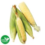 Organic Sweet Corn, , large