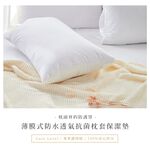 DUYAN竹漾 薄膜式 防水透氣抗菌 枕套保潔墊 台灣製, , large