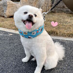 【寵愛生活本舖】寵物夏季可牽引式降溫冰肚兜+圍脖套裝 冰馬甲 寵物冰衣, , large